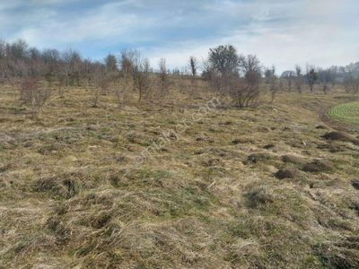 Arsa-Tarla