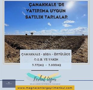Arsa-Tarla