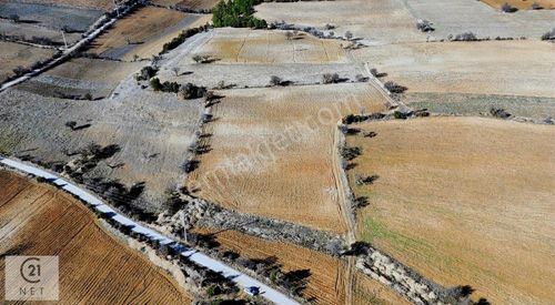 Arsa-Tarla