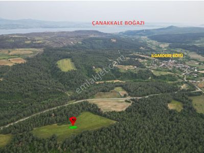Arsa-Tarla