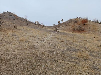 Arsa-Bağ & Bahçe