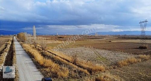 Arsa-Tarla