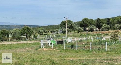Arsa-Villa İmarlı