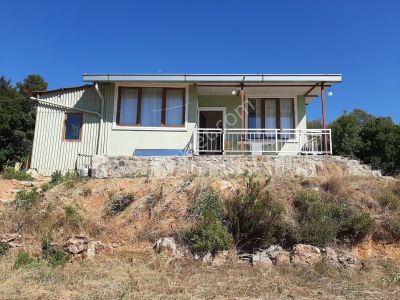 Arsa-Zeytinlik