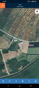 Arsa-Villa İmarlı