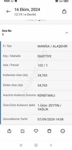 Arsa-Zeytinlik