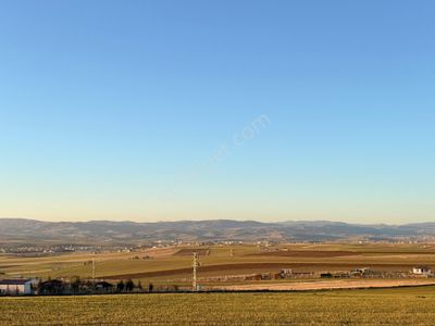 Arsa-Tarla