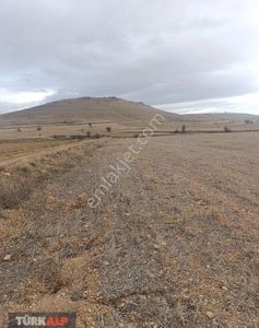 Arsa-Tarla