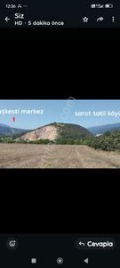 Arsa-Bağ & Bahçe