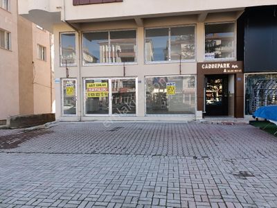 İşyeri-Dükkan & Mağaza