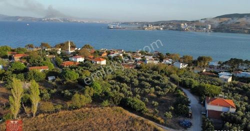 Arsa-Zeytinlik