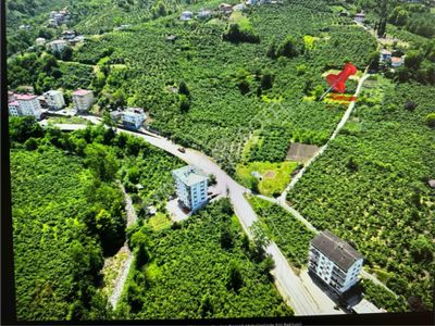 Arsa-Villa İmarlı