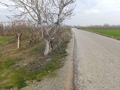 Arsa-Tarla