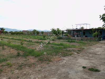Arsa-Bağ & Bahçe