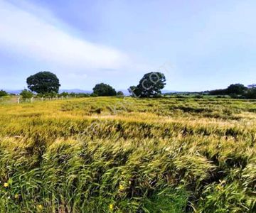 Arsa-Tarla