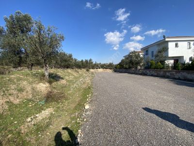 Arsa-Muhtelif Arsa