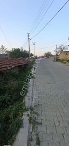 Arsa-Bağ & Bahçe