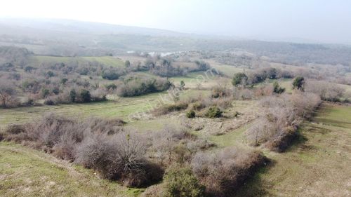 Arsa-Tarla