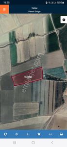 Arsa-Tarla