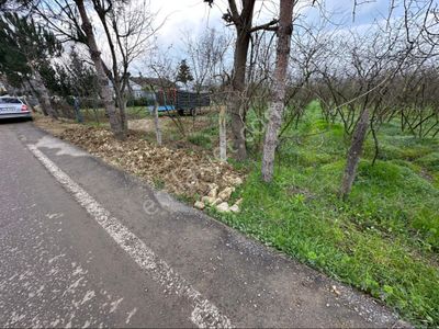 Arsa-Konut İmarlı
