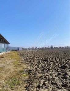 İşyeri-Depo
