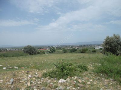 Arsa-Konut İmarlı