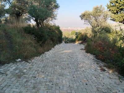Arsa-Bağ & Bahçe