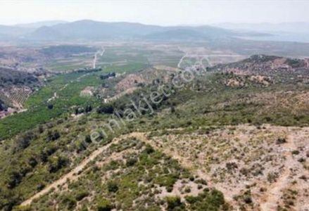 Arsa-Bağ & Bahçe