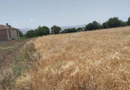 Arsa-Tarla