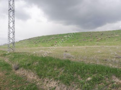 Arsa-Tarla
