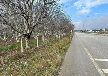 Arsa-Ticari İmarlı