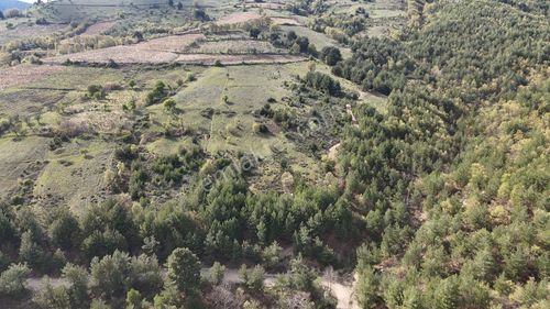 Arsa-Tarla
