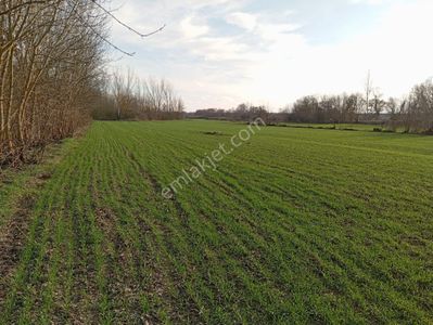 Arsa-Tarla