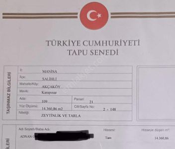 Arsa-Zeytinlik