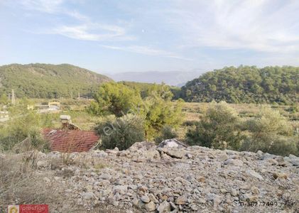 Arsa-Konut İmarlı