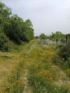 Arsa-Bağ & Bahçe
