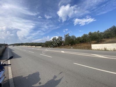 Arsa-Zeytinlik