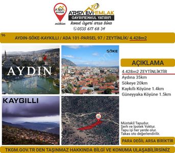 Arsa-Zeytinlik