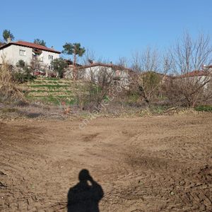 Arsa-Bağ & Bahçe