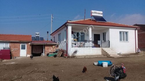 Arsa-Bağ & Bahçe