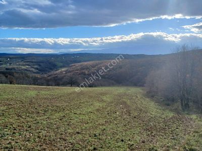 Arsa-Tarla