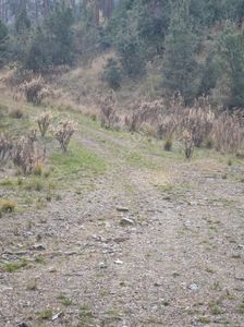Arsa-Tarla
