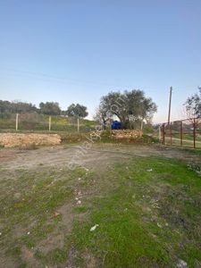 Arsa-Konut İmarlı