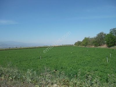 Arsa-Tarla