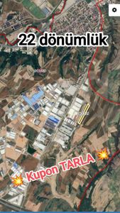 Arsa-Tarla