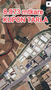 Arsa-Tarla