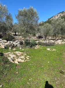 Arsa-Tarla