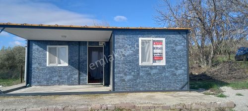 Arsa-Zeytinlik