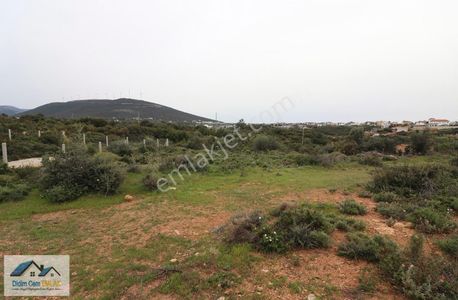 Arsa-Konut İmarlı