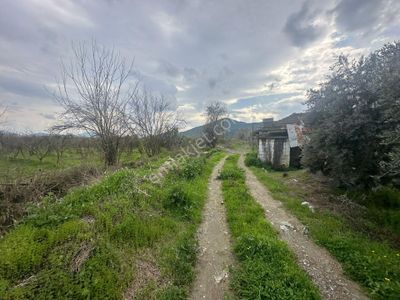 Arsa-Tarla